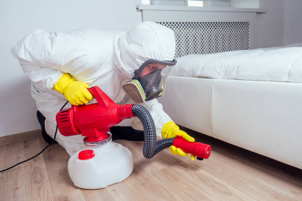 Best Fumigation Services  in Stone Park, IL